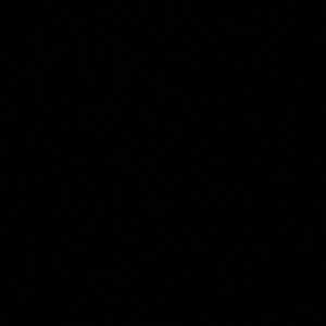 Meet your Posher, Adria